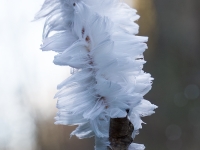 ad0c8724-2