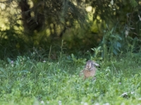 2026.07.15