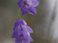 ad0c2827