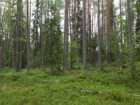 0d9a1678-copy