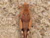 8143