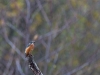 1248